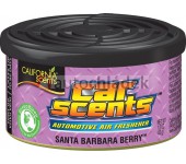 California Scents, vůně Car Scents - Lesní plody 42 g