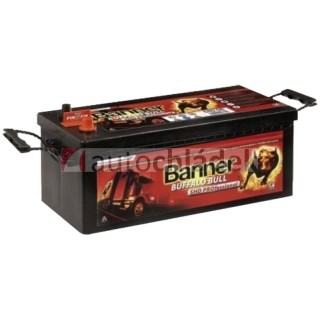 Autobaterie BANNER Buffalo Bulll SHD PRO 12V 145Ah 800A 645 03